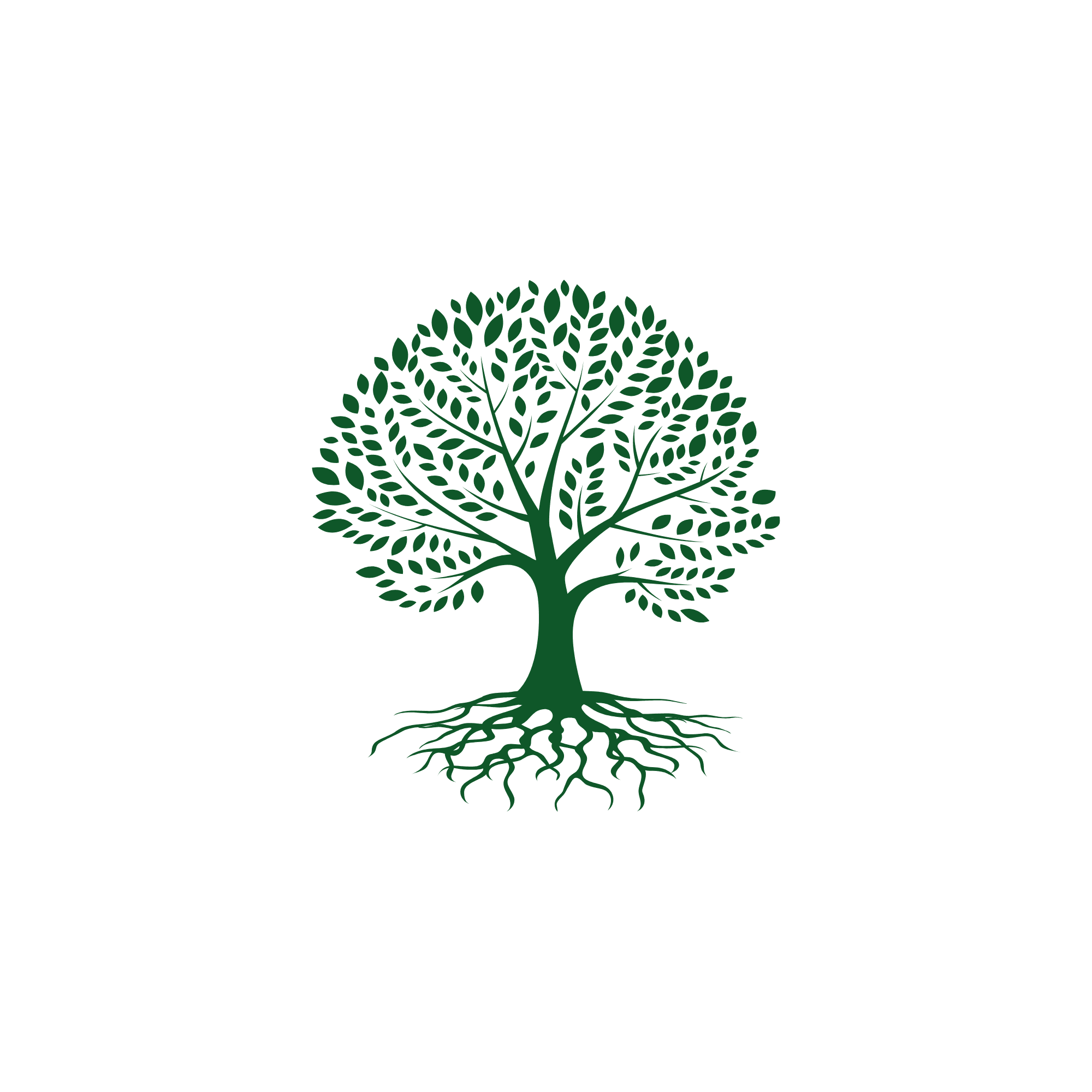 Codruț Logo